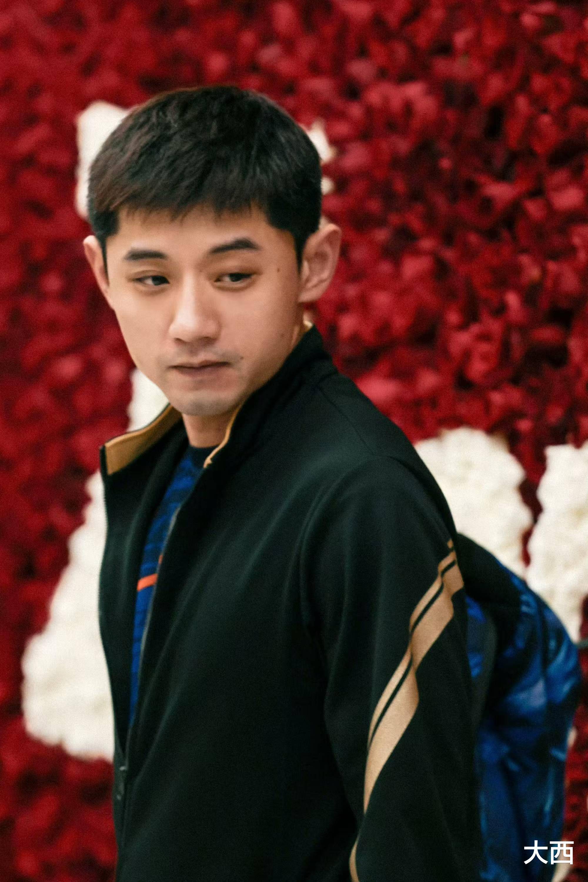 关于奥地利队横扫日本队,张继科高光表现的信息 关于奥地利队横扫日本队,张继科高光表现的信息