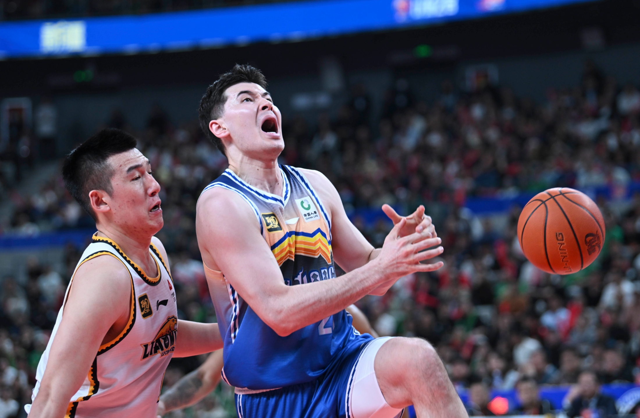 灰熊绝杀北京队，王哲林带队取胜