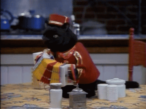 黑天鹅掠过北岸花园,当鹈鹕的羽翼遮蔽了绿军的十七面旗帜