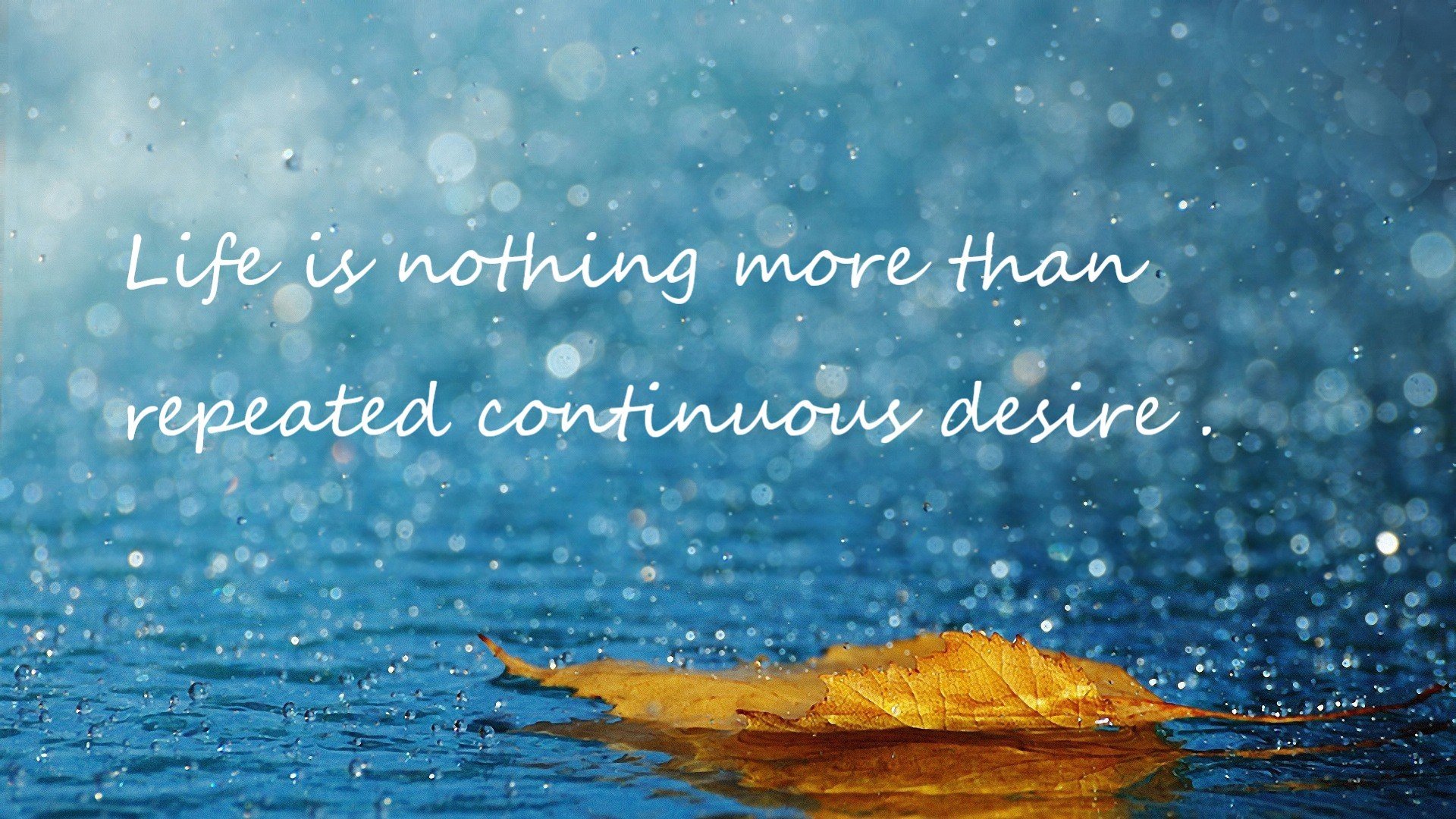 决胜时刻的辉煌,巴斯托尼的坚韧与摩洛哥的末节奇迹