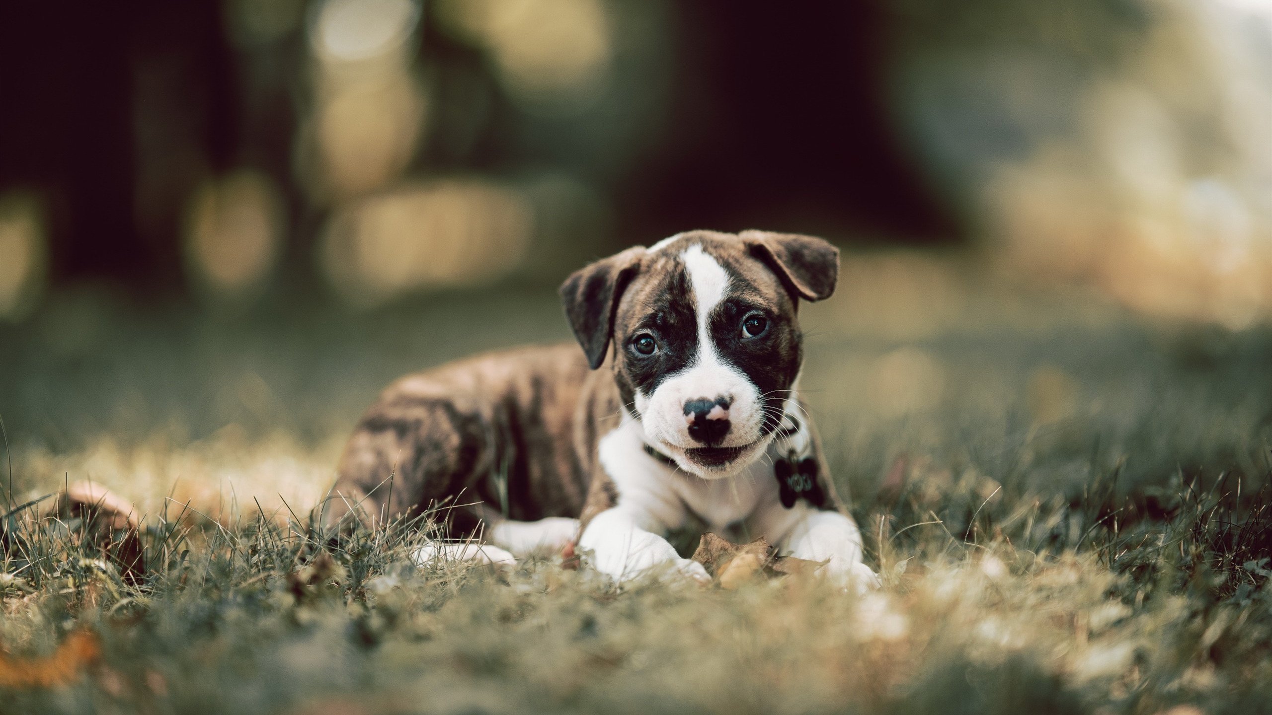 C罗天神下凡！友谊赛那不勒斯对阵英格兰，葡萄牙巨星打出统治级数据震撼足坛
