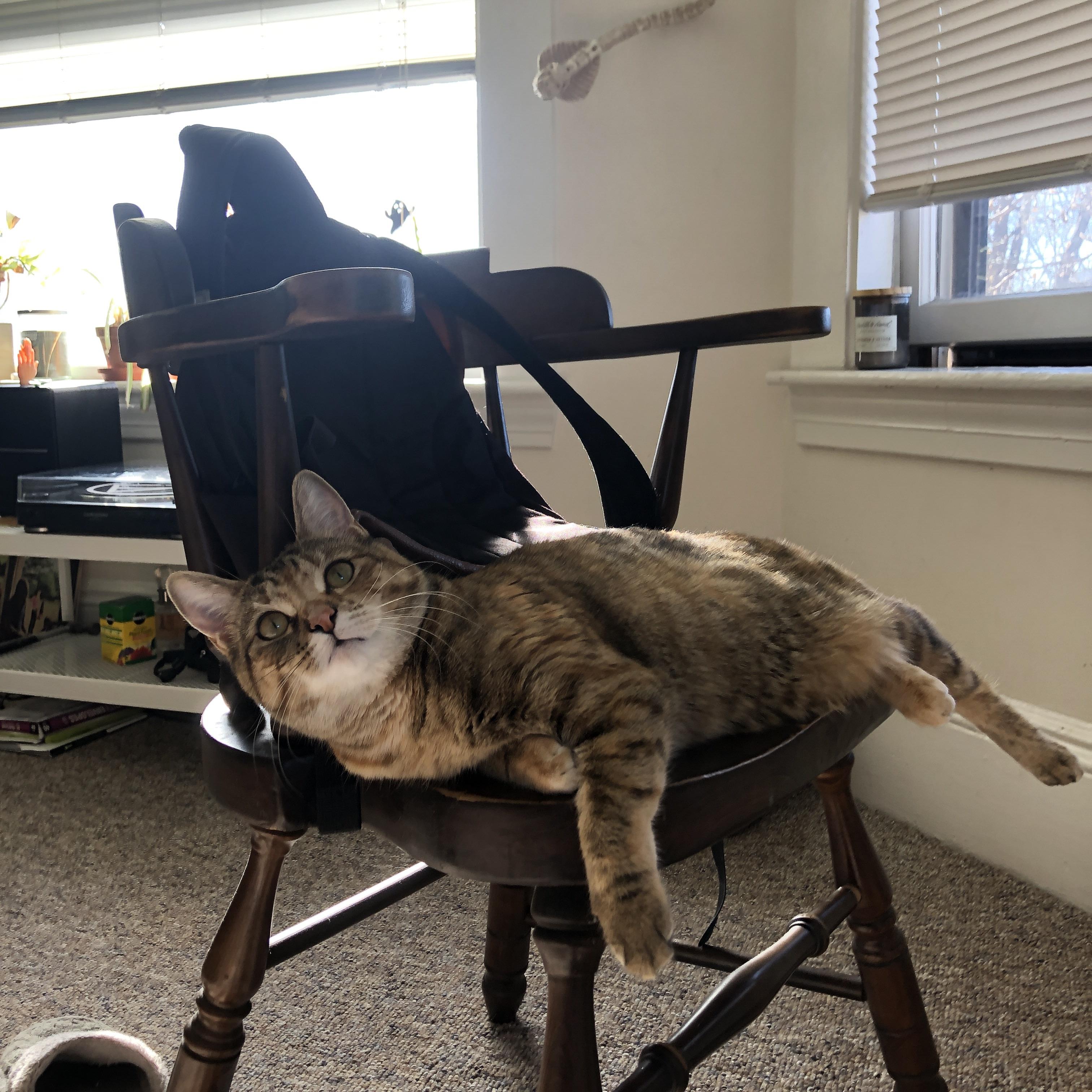 小人物大心脏,米切尔爆发,新疆队硬仗力克爵士