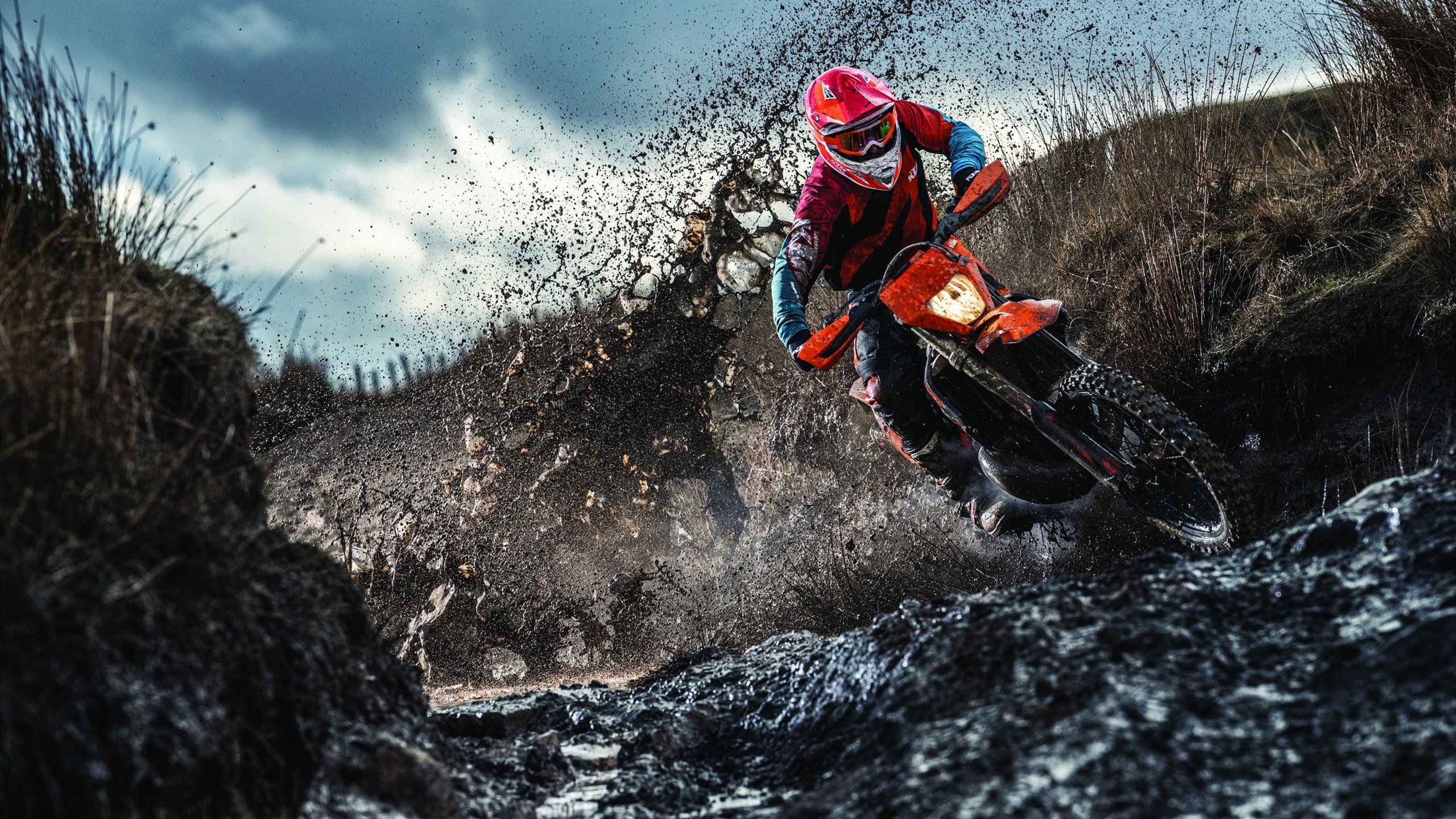 极速与铁壁，当赛道轰鸣遇见球场统治，体育的唯一性即规则与直觉