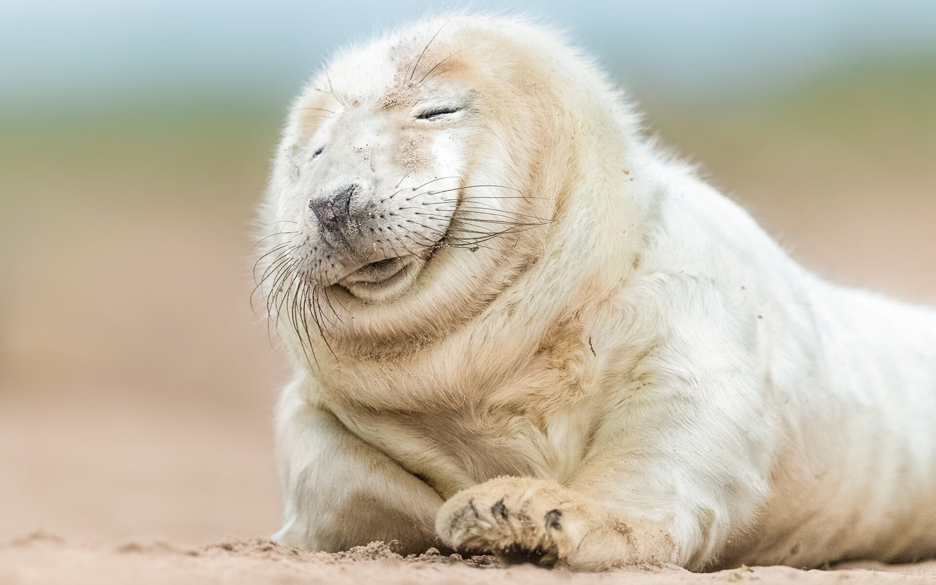 唯一性的闪耀，AC米兰淘汰加纳与哈弗茨东决统治战的启示