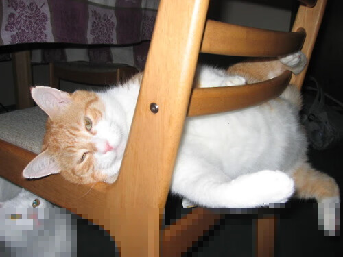 唯一一次入侵,当马丁内利的连续得分拉开差距,苏格兰如何在争冠战中战胜阿尔及利亚