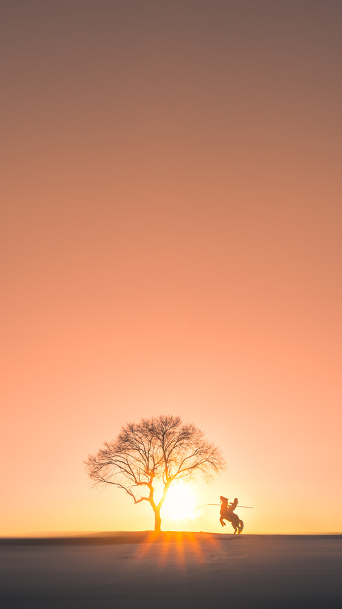 中场幻光，当巴尔韦德遇见京多安