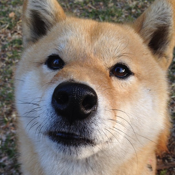 跨洋对决，当76人踏平深圳队，欧文竟成关键先生